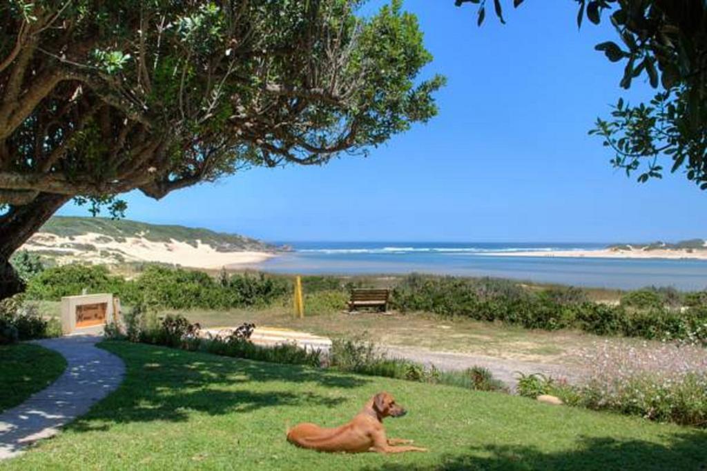 Milkwood Manor B & B Kenton on Sea Exterior photo